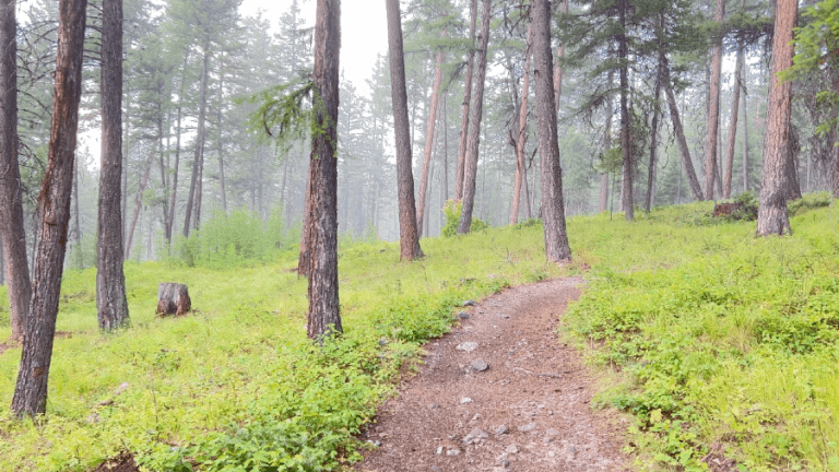 Avoid These 5 Mistakes: Tips for Hiking With Your Baby